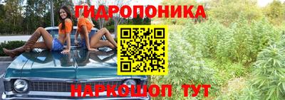ПСИЛОЦИБИНОВЫЕ ГРИБЫ Краснокаменск
